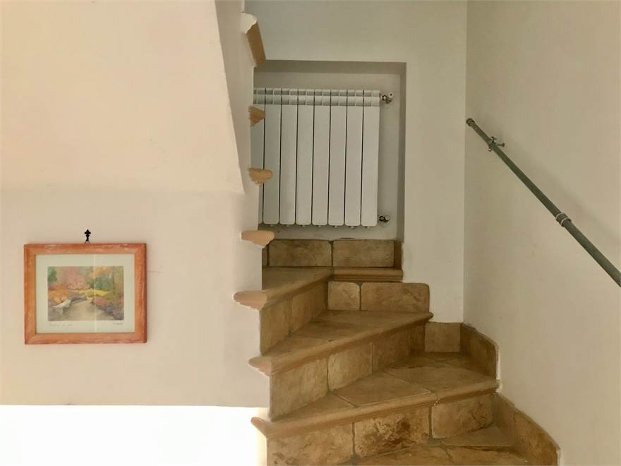 Photo 31